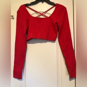 Long sleeve cropped workout top